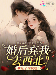 婚后弃我去西北，我死了你疯啥？